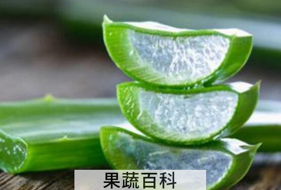 新鲜芦荟涂脸正确方法