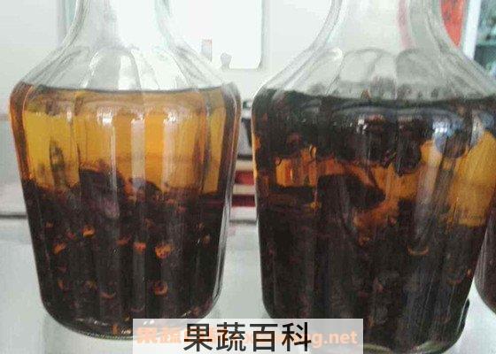 黄蜂泡酒