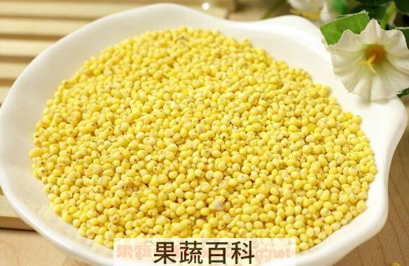 大黄米怎么吃最好 大黄米的正确食用方法