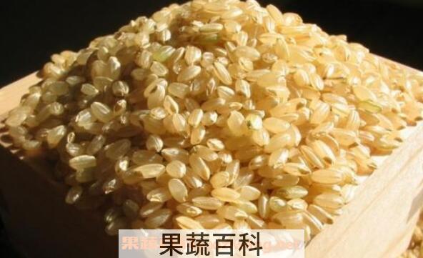 红糙米和白糙米的区别