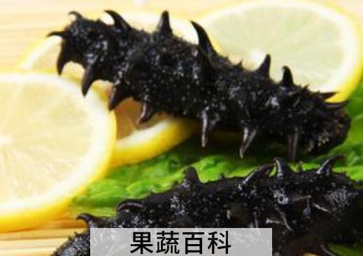 辽参的功效和作用及禁忌