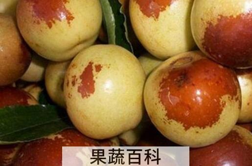 梨枣和冬枣的区别 梨枣和冬枣哪个 好吃