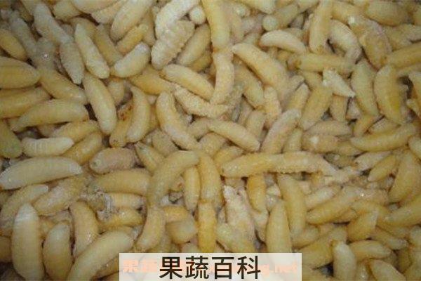 马蜂蛹