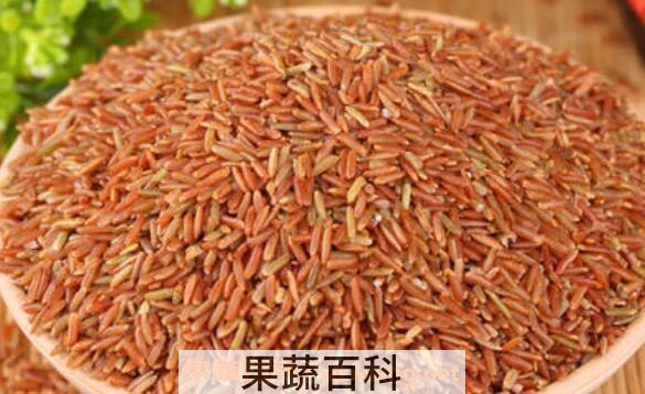 红糙米怎么吃最好 红糙米的家常做法