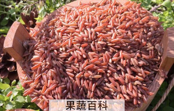 红糙米怎么吃最好 红糙米的家常做法