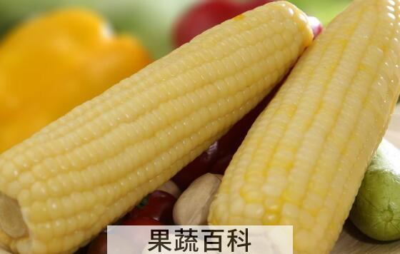 粘玉米的好处与营养价值 粘玉米的危害