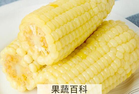 粘玉米的好处与营养价值 粘玉米的危害