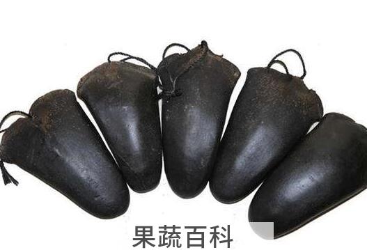鹿尾巴的功效与作用 鹿尾巴的食用方法