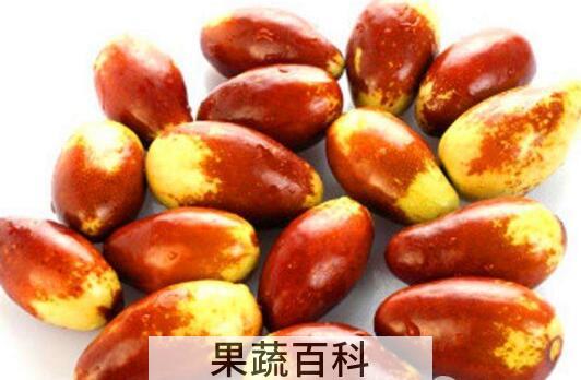 马牙枣的功效与作用及禁忌