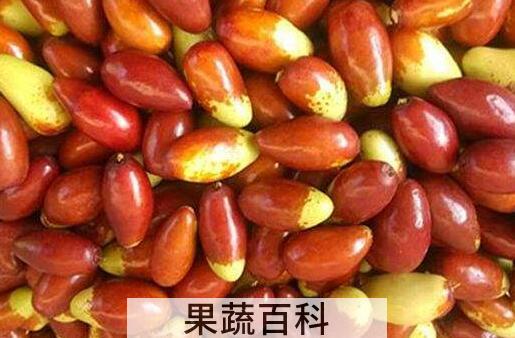 马牙枣的功效与作用及禁忌