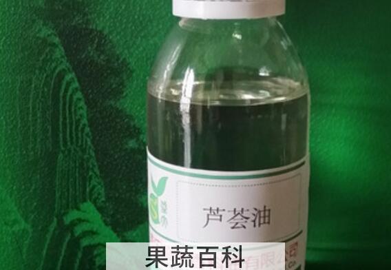 芦荟油怎么使用 芦荟油的正确用法