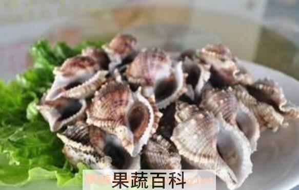 角螺的功效与作用
