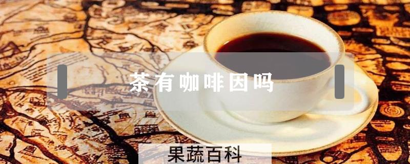 茶有咖啡因吗