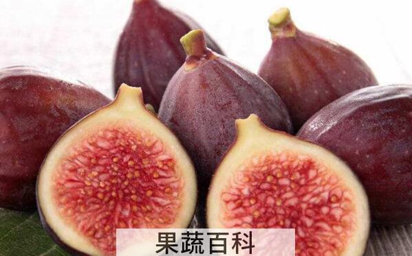 蛋白质含量高的水果