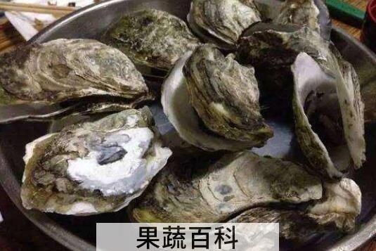 外观怎么区分生蚝和牡蛎 生蚝的功效与作用