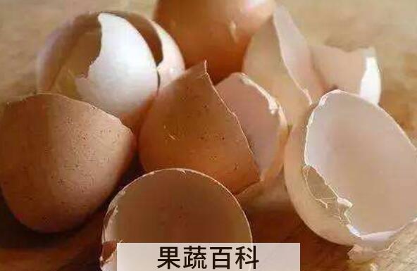 鸡蛋壳怎样去水垢 鸡蛋壳去水垢的原理