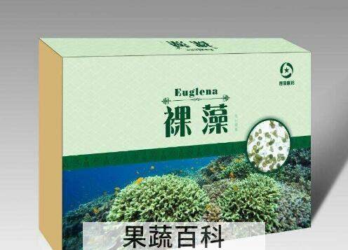 裸藻的功效与作用