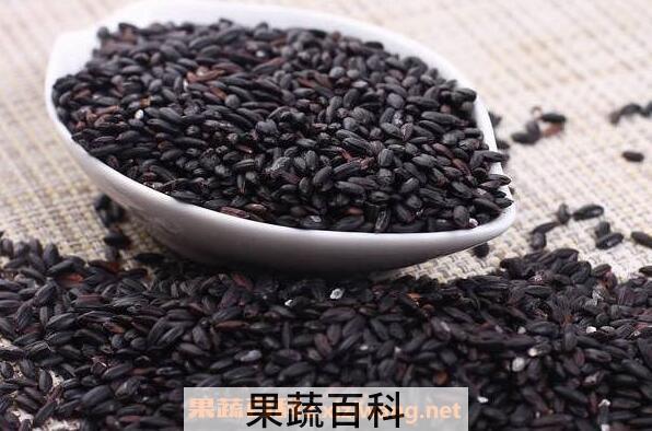黑米和黑香米的区别 怎样鉴别黑米好坏