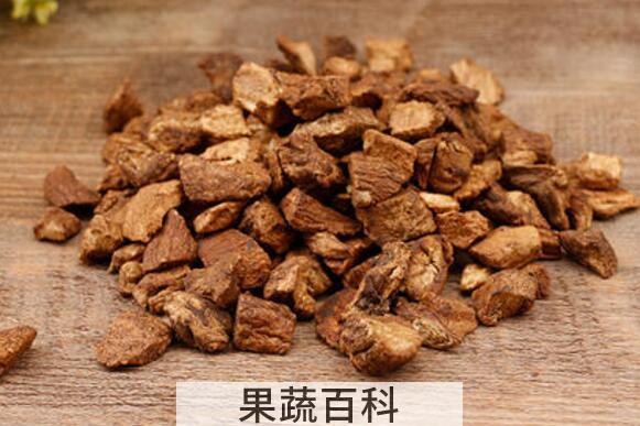 菊苣茶的功效与作用 菊苣茶的副作用