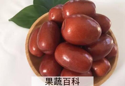 壶瓶枣的功效与作用 壶瓶枣怎么吃