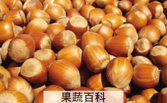 川榛子与川楝子的区别 川榛子的功效与作用
