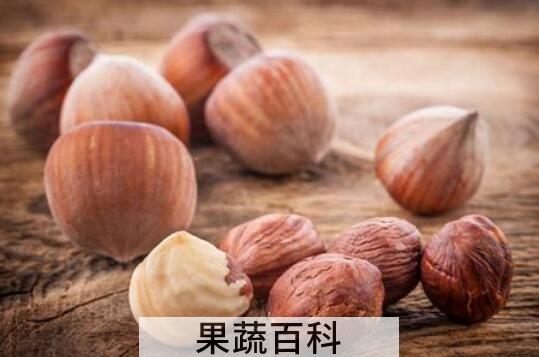 川榛子与川楝子的区别 川榛子的功效与作用