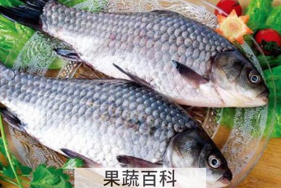 吃鲫鱼的4个禁忌