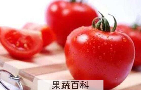 番茄酒的功效与作用
