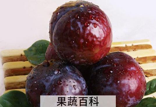 红布李的功效和作用