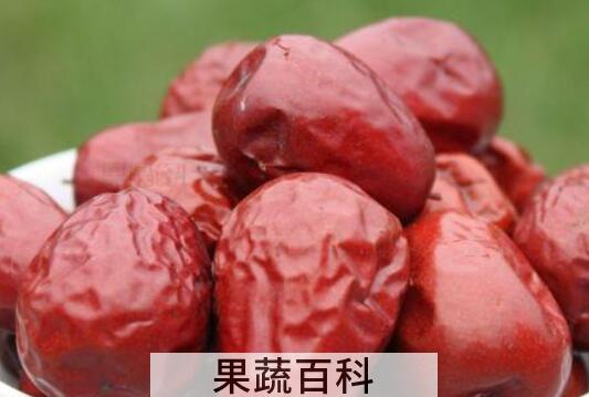 壶瓶枣和骏枣的区别