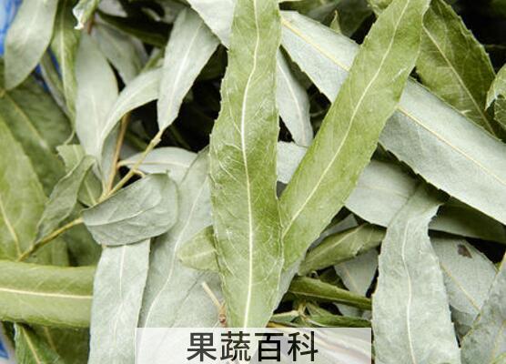 柳叶茶的最佳制作方法