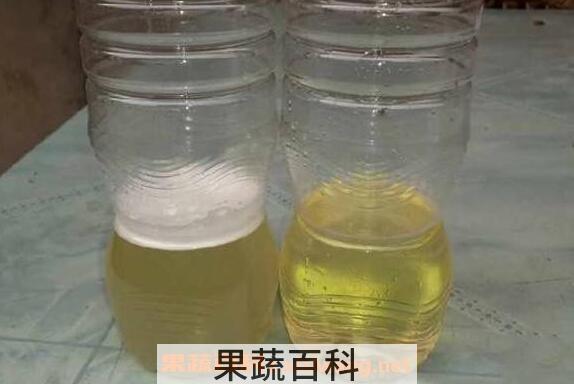 一杯清水辨别蜂蜜真假 用水怎么辨别真假蜂蜜