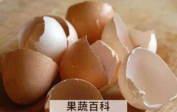 鸡蛋壳如何去除水壶的水垢