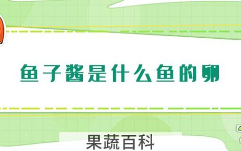 鱼子酱是什么鱼的卵