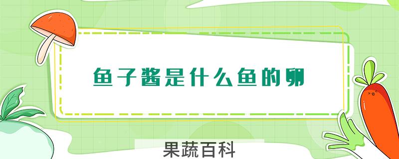 鱼子酱是什么鱼的卵