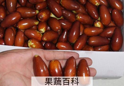 尖枣的功效与作用 尖枣怎么吃