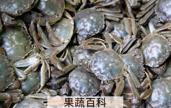 河蟹功效与作用