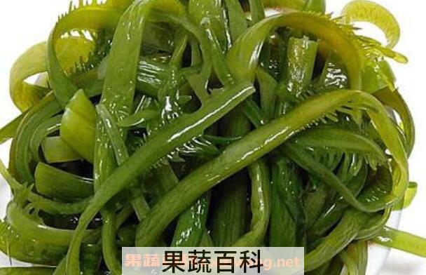 裙带菜和海带的区别