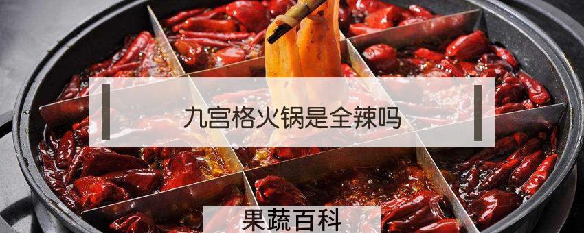 九宫格火锅是全辣吗