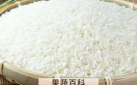 全国最好吃的大米排名 什么大米最好吃