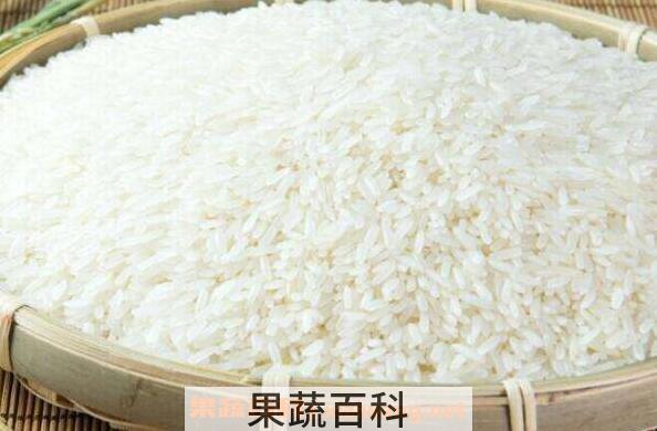 全国最好吃的大米排名