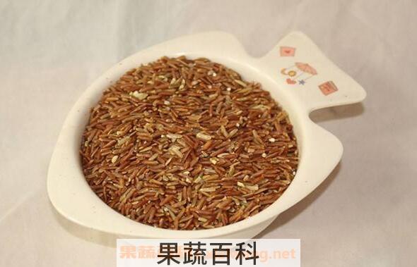 糙米怎么吃 糙米的正确食用方法