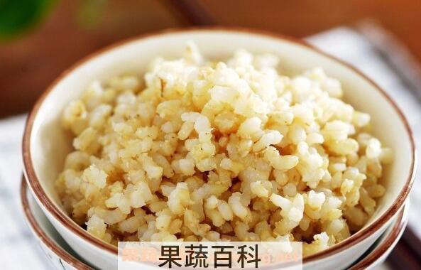 糙米怎么吃 糙米的正确食用方法
