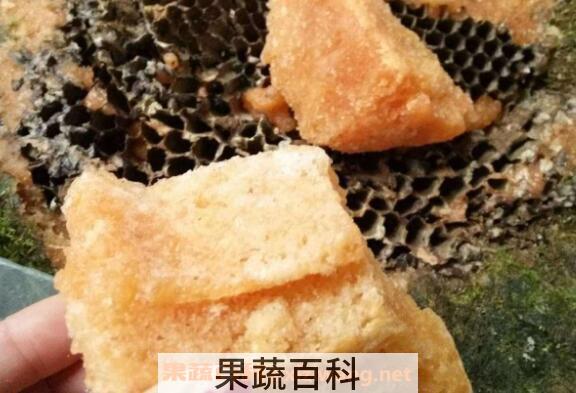 岩蜜怎么吃 岩蜜的食用方法有哪些