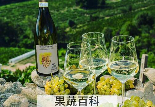 白葡萄酒需要醒酒吗 白葡萄酒怎么喝