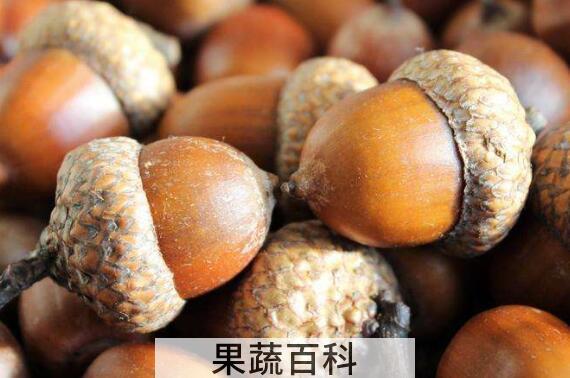 橡果能吃吗 橡子的食用方法