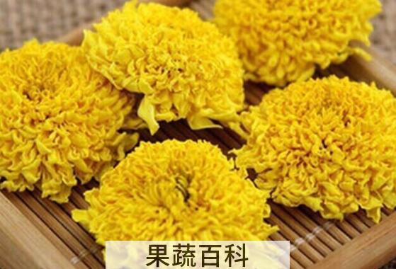 徽州皇菊的功效与作用