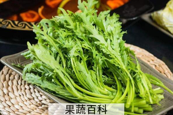 大蒿菜的功效与作用