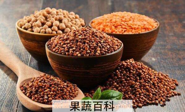 高粱的功效与作用 高粱的禁忌