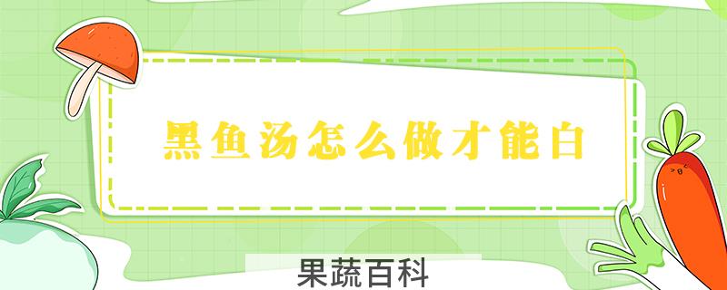 黑鱼汤怎么做才能白
